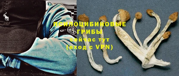 дурь Майский